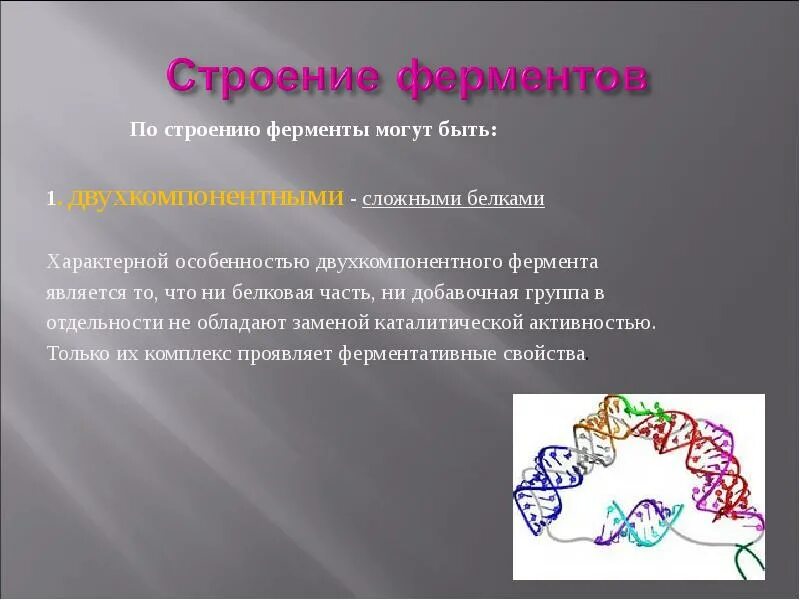 Значение белков ферментов. Первичная структура фермента. Фермент структура белка. Белковая структура фермента. Строение фермента.