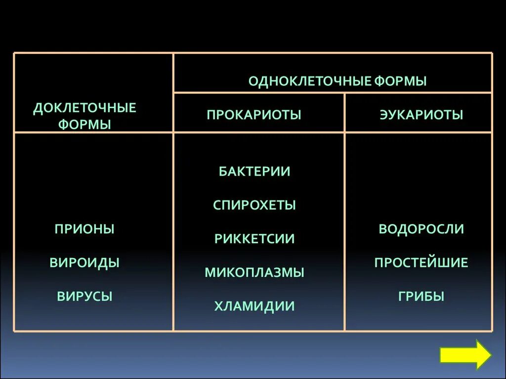 Формы жизни прокариоты