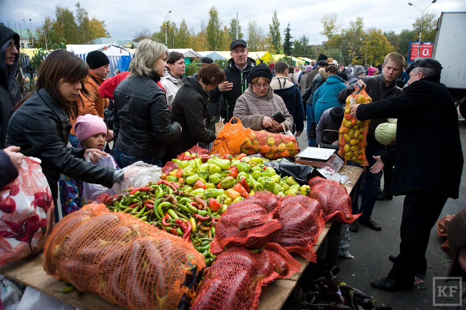 Где нашли ярмарка. Сельскохозяйственная ярмарка. Продуктовая ярмарка. Сезонная ярмарка. Сельхоз ярмарка.