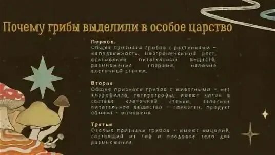 Почему грибы в отдельном царстве. Почему грибы выделяют в особое царство. почему грибы выделены в самостоятельное царство.