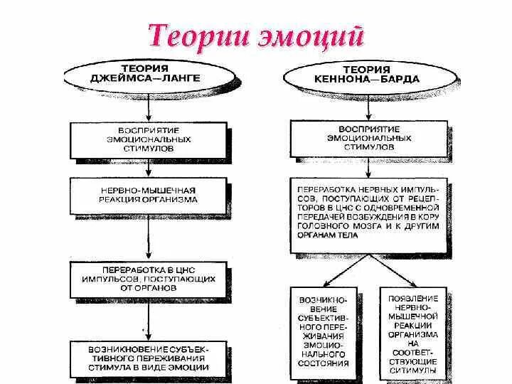 Автор теории эмоций. Психологические теории эмоций в психологии таблица. Основные теории эмоций в психологии кратко. Перечислите основные теории, объясняющие возникновение эмоций.. Теория эмоций Кеннона - барда.