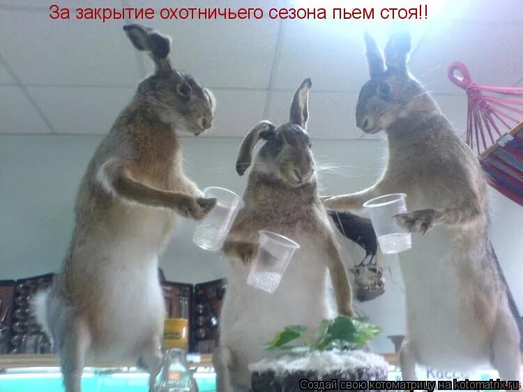 заяц прикол. осанка. его принимают стоя 3. чаепитие с коллегами. новогодние салаты антимотиватор.