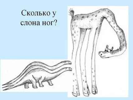 Сколько ног стоят на полу