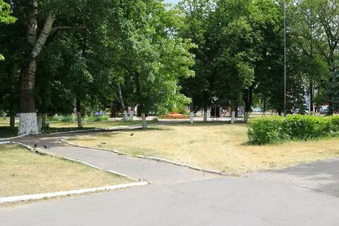 Погода им ленина