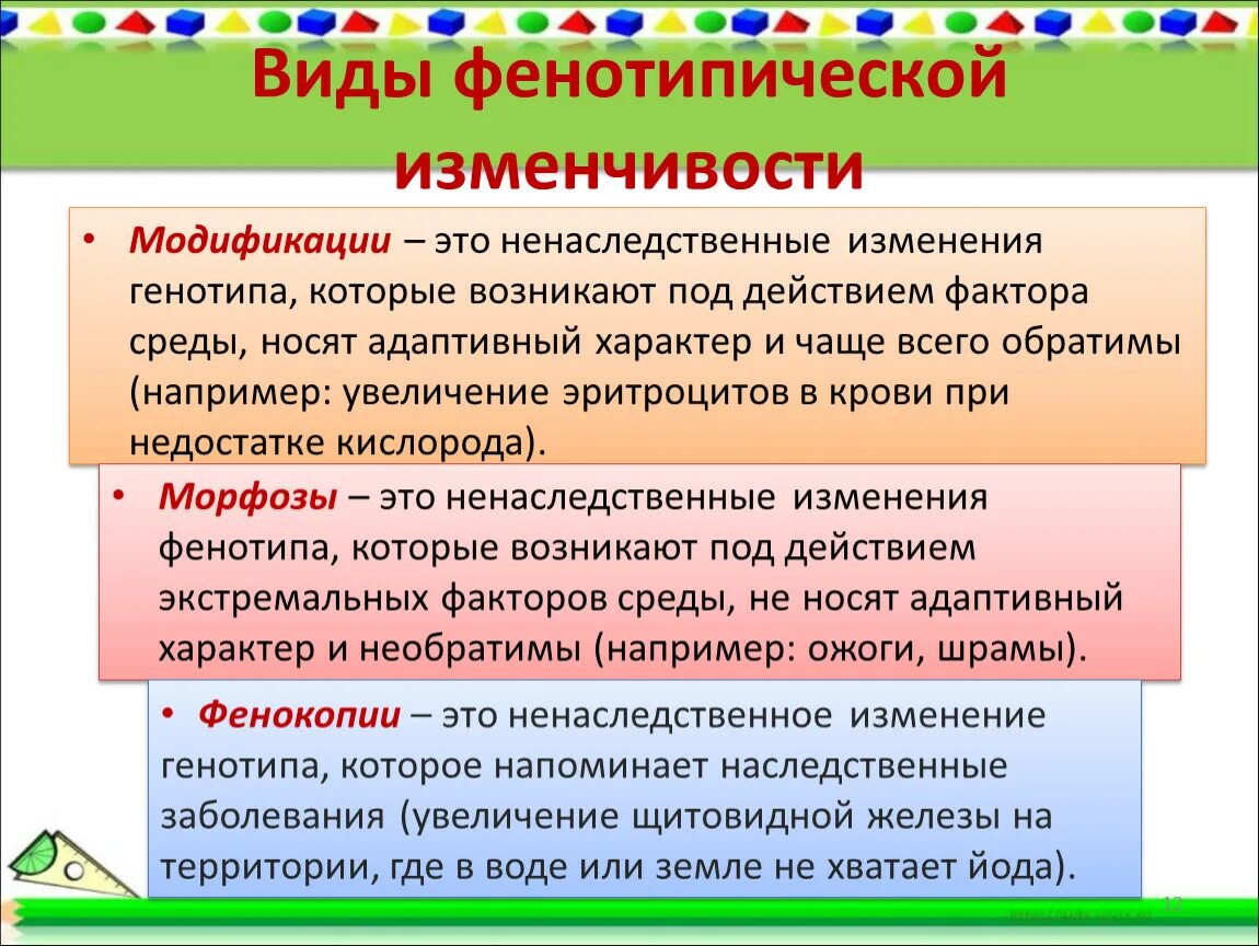 Формы фенотипической изменчивости. Виды фенотипической изменчивости. Фенотипическая изменчивость и ее виды. Формы изменчивости фенотипическая и генотипическая.