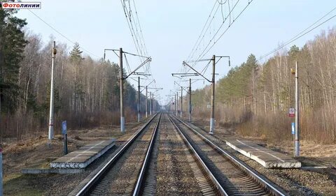 Погода брянск суземка павловичи