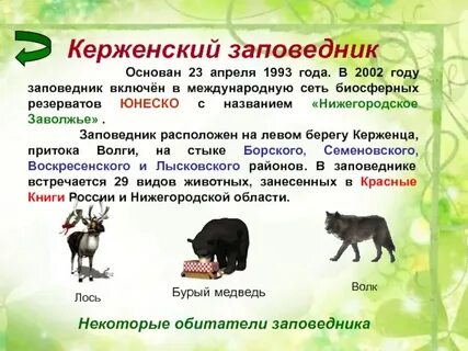 Нижегородская область окружающий мир 3 класс