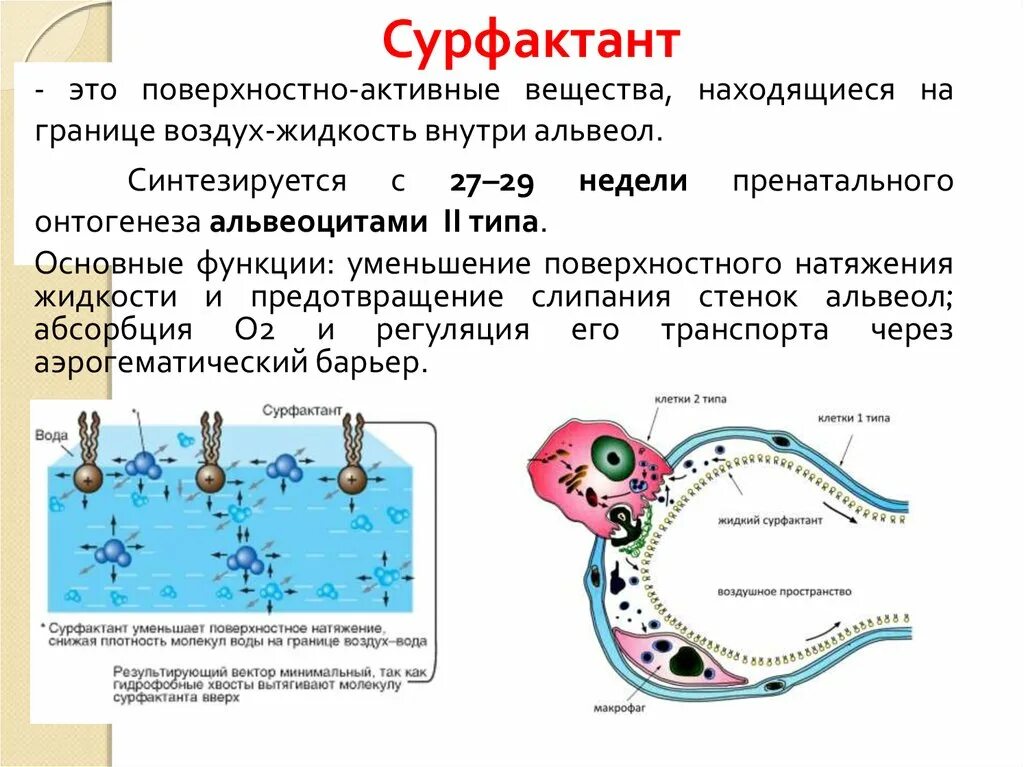 Art fact soft surfactant complex