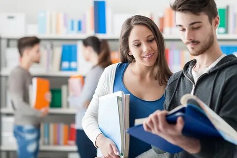 Study job