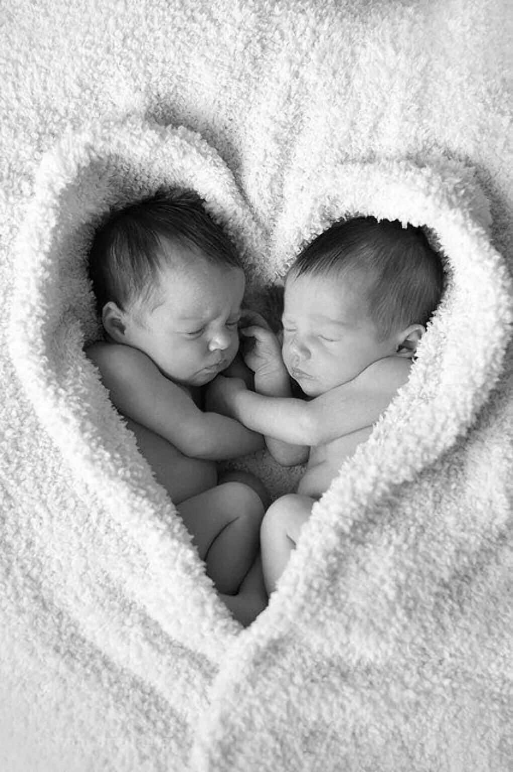 Всего лишь 2 месяца. Младенцы двойняшки. Новорожденные Близнецы. Фотосессия новорожденного. Фотосессия новорожденных двойняшек.