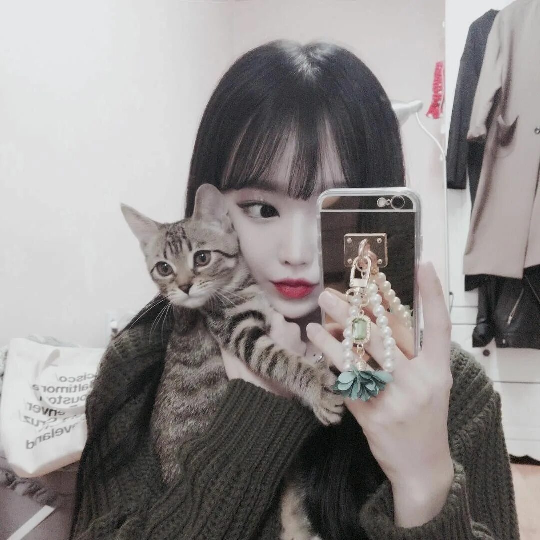 Jennie cats pets cute Blackpink, Blackpink jennie, Kim jennie