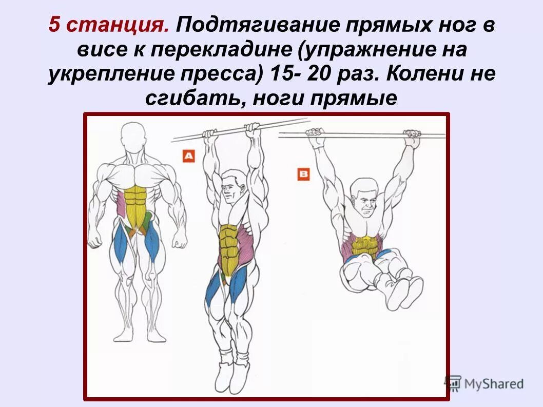 Физическая сила человека. Физическое качество сила. Методы самоконтроля при занятиях физическими упражнениями. Максимальная мышечная сила. Силу человека можно определить как.