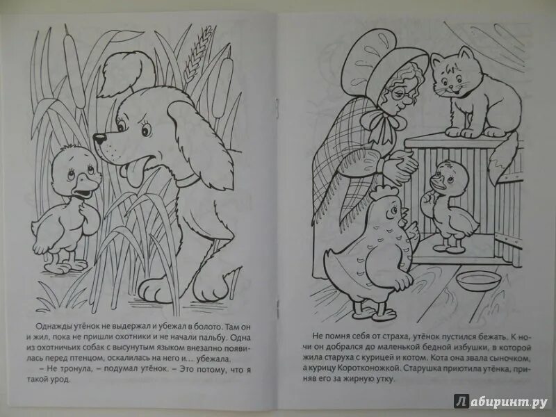 Раскраска гадкий утенок 3 класс. Иллюстрация к сказке гадкий утенок. раскраска к сказке гадкий утенок. рисунок к сказке гадкий утенок. иилюстрация к рассказе (гадкий утёнок).