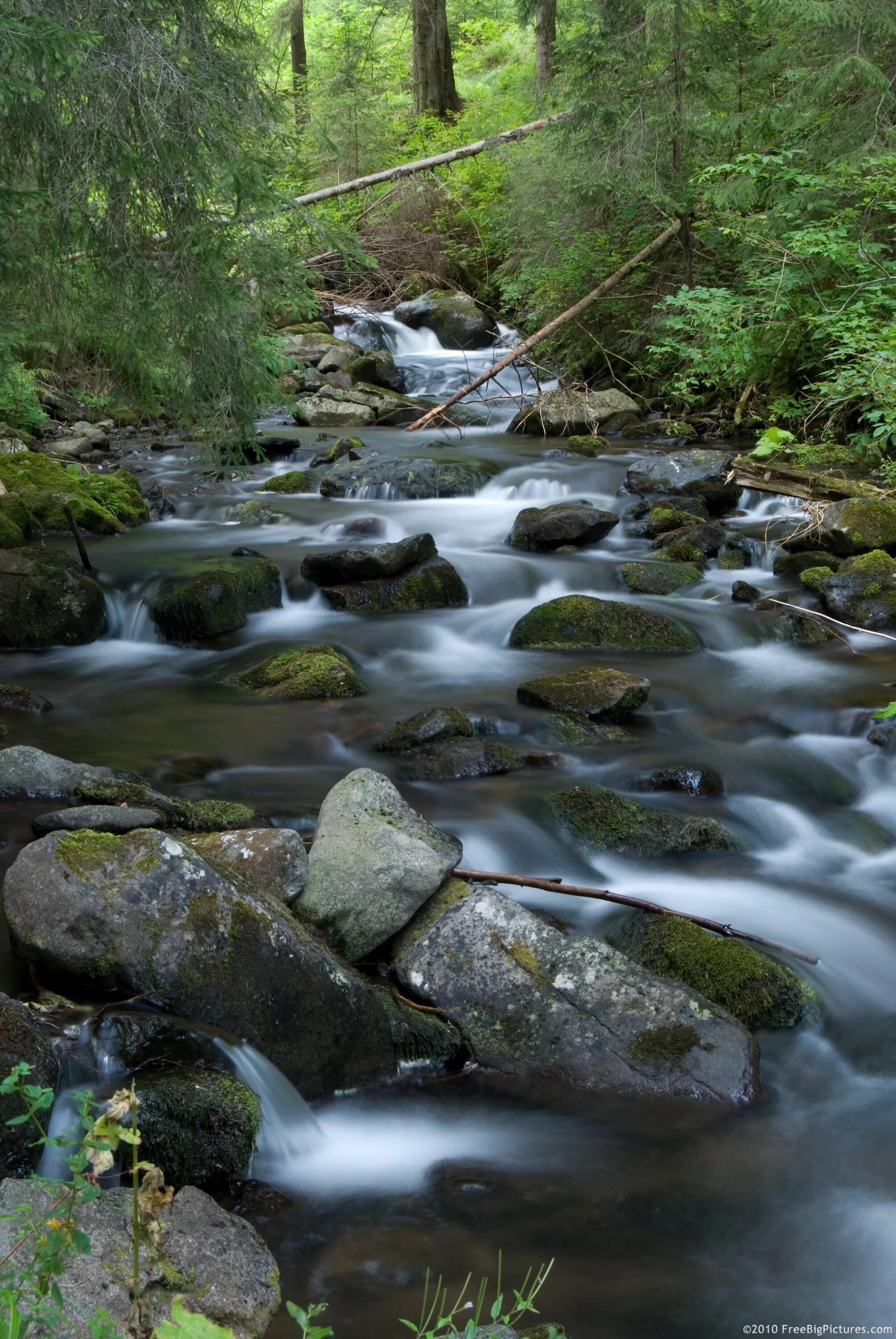 Минеральные источники геленджика. Журчит ручеек какой. Ручеек какой. Ручеек какой. Хатминский ручей.