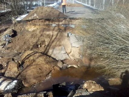 Новгородская область сейчас