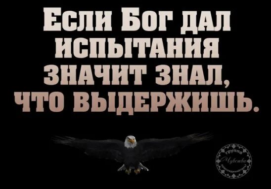 Бог не дает испытаний которые. Если бог дает испытание. если бог дал значит. если бог дает испытание значит знает. бог не по силам испытаний не дает.