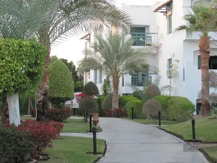 Solymar naama bay 4 шарм отзывы