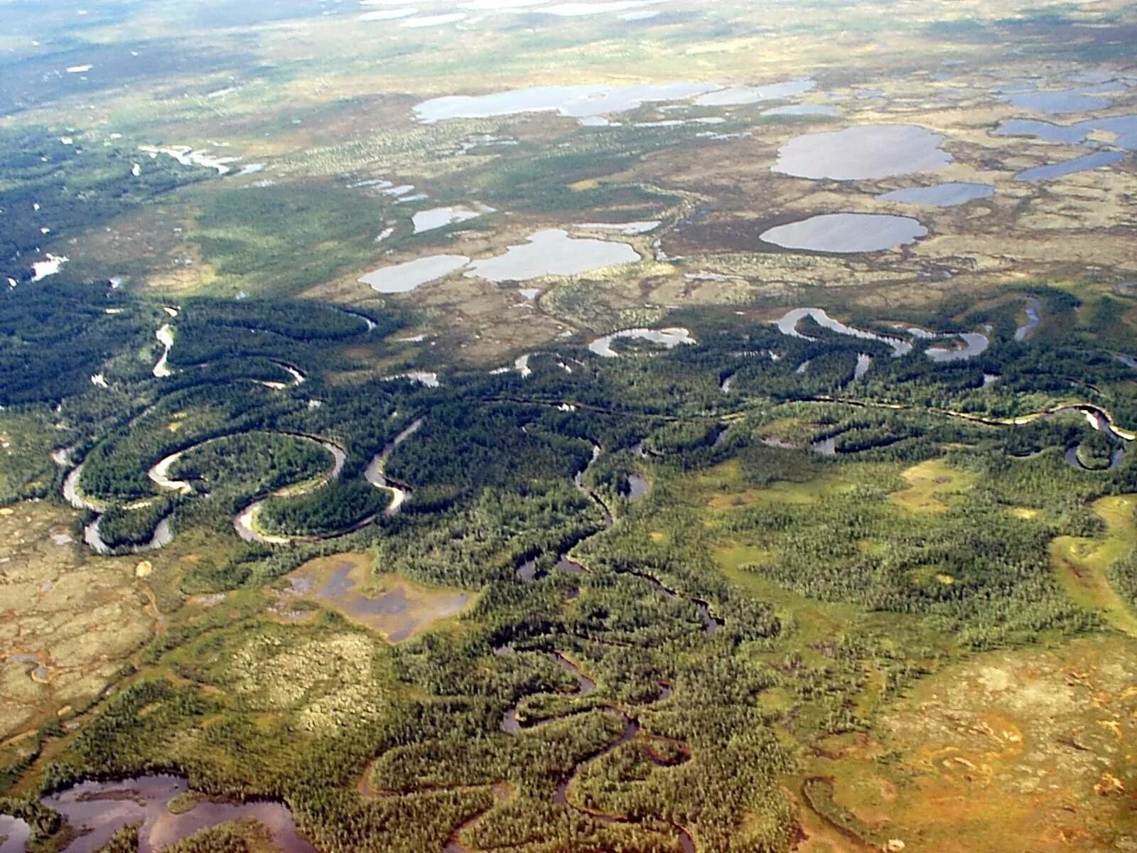 полуостров ямал. гыданский заповедник тундра. вечная мерзлота гыданский полуостров. национальный парк «гыданский» в яма́ло-не́нецкий автоно́мный о́круг. природный заповедник гыданский.