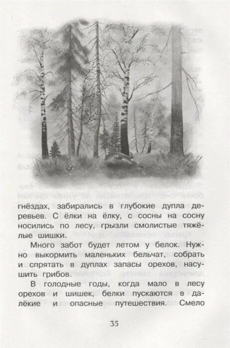 Почему нужно быть наблюдательным сочинение соколов микитов. Год в лесу Соколов-Микитов читательский дневник. Год в лесу. Соколов-Микитов и.с. Махаон. Осень в лесу книга Соколов-Микитов.