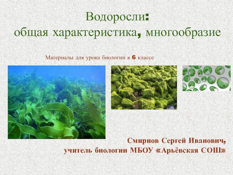 Водоросли урок. Водоросли доклад 6 класс биология. Характеристика водорослей. Презентация на тему водоросли. Водоросли биология презентация.