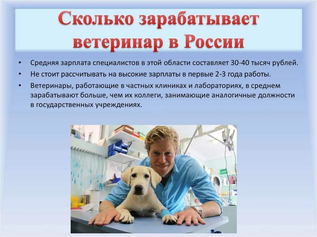 Ветеринар получить образование. Зарплата ветеринара. сколько зарабатывает ве. сколько зарабатывает ветеринар. зарплата ветеринара в месяц.