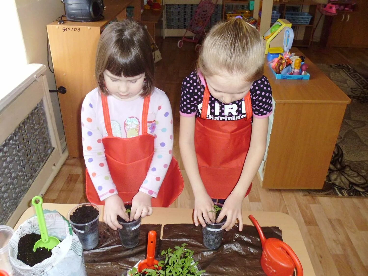 Домашний труд младшая группа. Труд детей в детском саду. Посадка растений в детском саду. Труд детей в саду. Эксперименты с растениями в ДОУ.