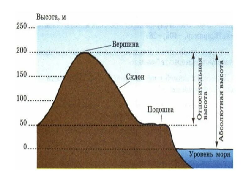 Курган над уровнем моря сколько метров. Абсолютная и Относительная высота. Абсолютная и Относительная высота холма. Абсолютная высота впадины. Изображение рельефа на карте.