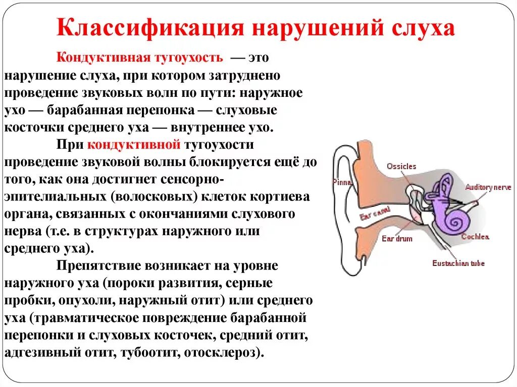 Какое давление в среднем ухе. Барабанная перепонка при сенсоневральной тугоухости. Классификация заболеваний органов слуха. Причины нарушения слухового анализатора. Профилактика тугоухость внутреннего уха.