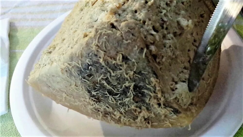 Сыр casu marzu италия. Касу марцу — италия. Сардинский касу марцу. Касу марцу итальянские сыры. Кацу марцу.
