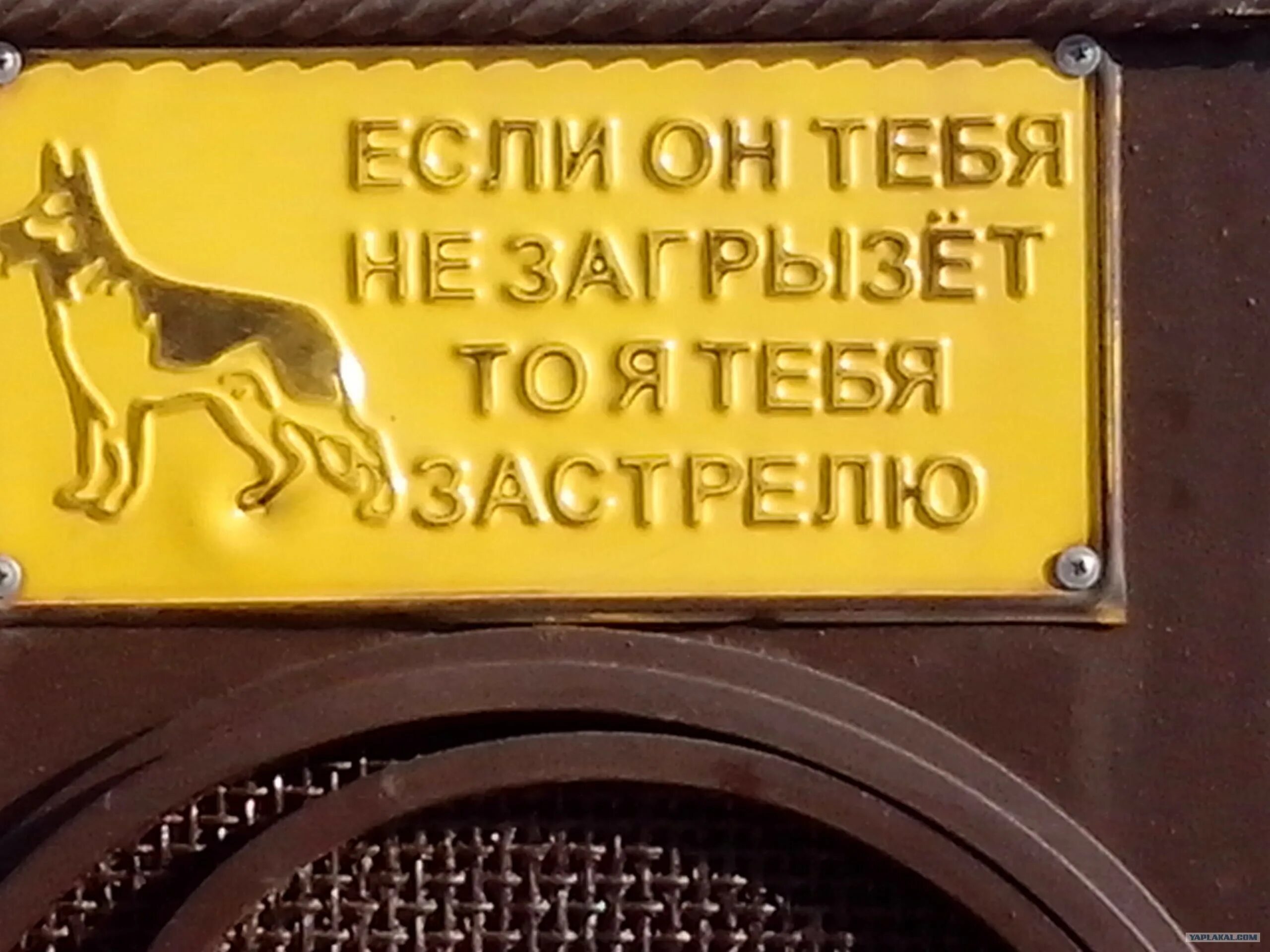 Если он тебя не загрызет то я тебя застрелю. Табличка если он тебя не загрызет. Если он тебя не загрызет то я тебя застрелю табличка. Если она тебя на загризет то я тебя застрелю.