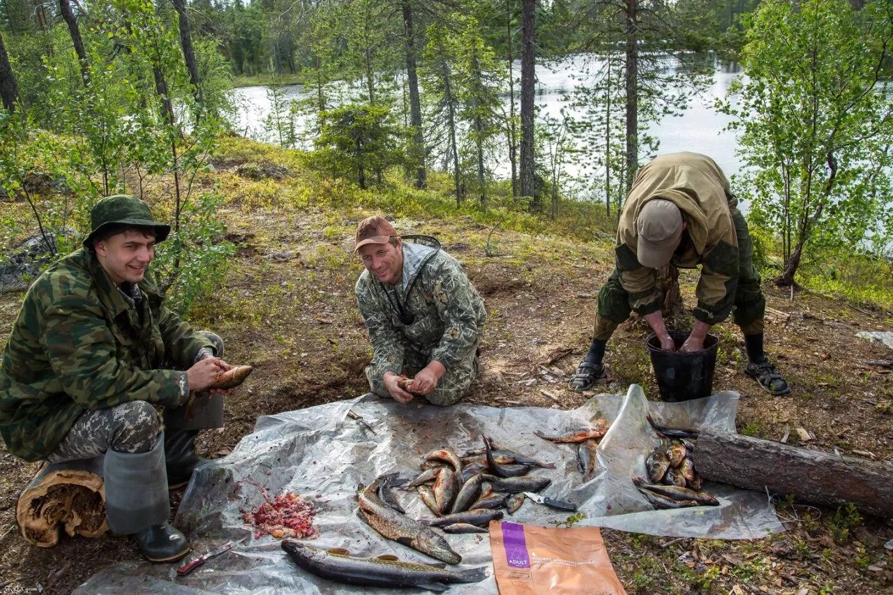 Охота и рыбалка на севере видео. Охота и рыбалка. Северная рыбалка. Озеро лес рыбалка. Рыбалка на Лесном озере.