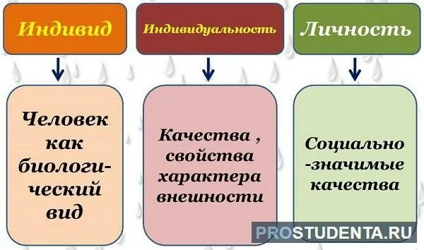 Человек индивид личность различие терминов. Индивид индивидуальность личность. Отличие индивида индивидуальности и личности. Личность индивидуальность отличия. Личность индивидуальность отличия.