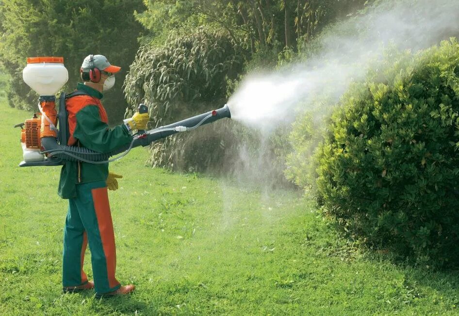 дезинфекция помещений в детском саду. обработка участка от насекомых. дезинфекция сада. дезинфекция в садике. обработка сада от вредителей.