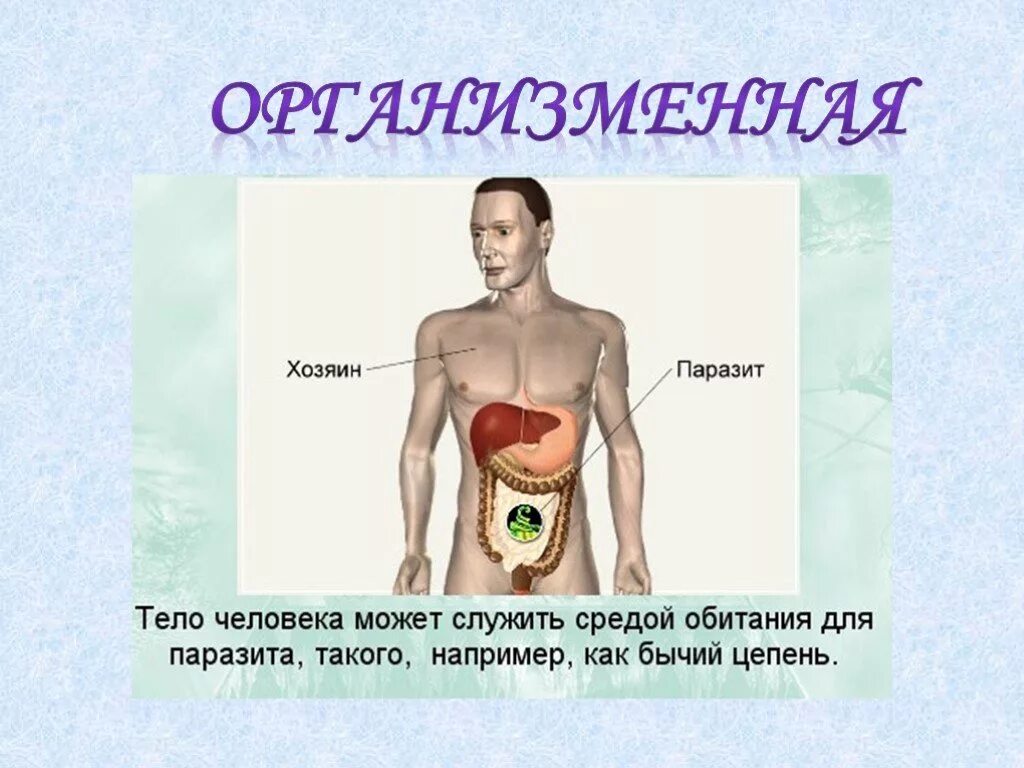 Организменная среда обитания характеризуется обилием. Организменная среда обитания. Организменная среда обитатели среды. Организменная среда обитания характеристика. Организменная (паразиты и симбионты)..