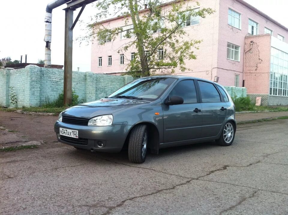 Минусы калины 1