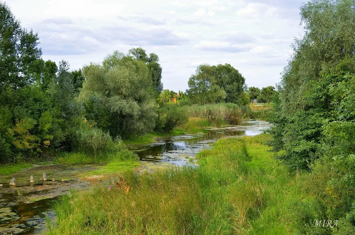 как выглядит п речушка. небольшая местами пересыхающая летом речушка. речушка. маленькие речки. мелкая речушка.