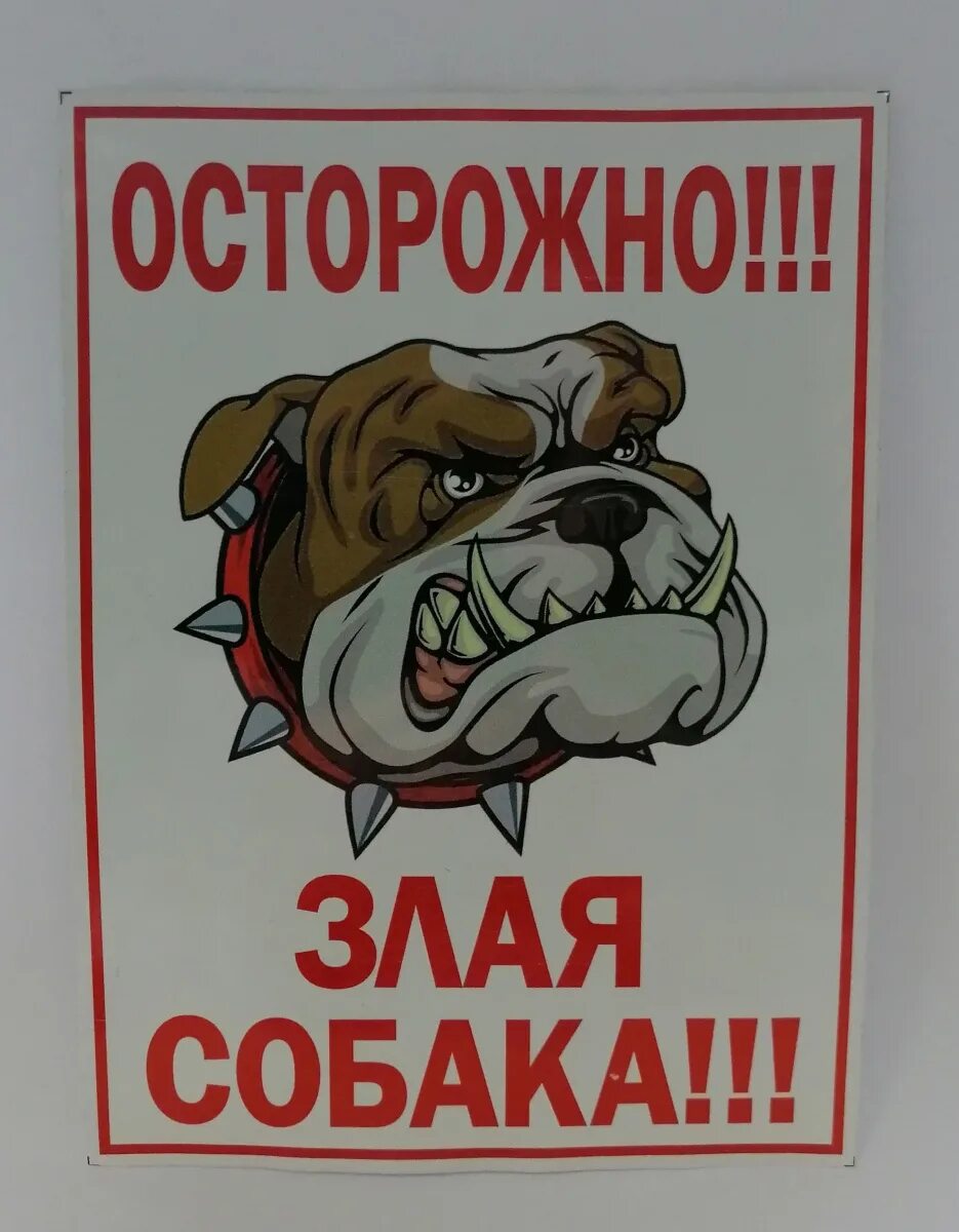 Злая собака предложение. Осторожно, злая собака!. наклейка осторожно злая собака. надпись злая собака. осторожно злая собака картинки.