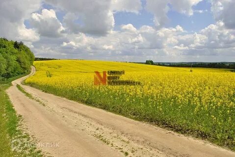 272 поле