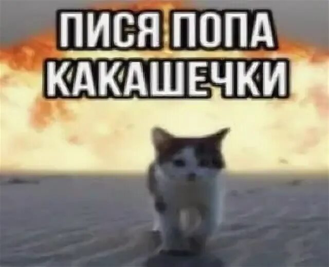 Создать мем "собака такса мем, мем такса, собака сосиска" - Картинки - Meme-arse