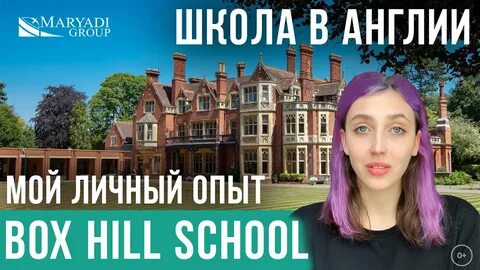 Отзыв school