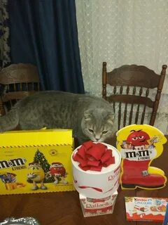 Подарок твой день