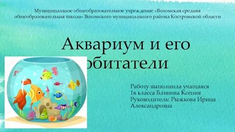 Презентация аквариум