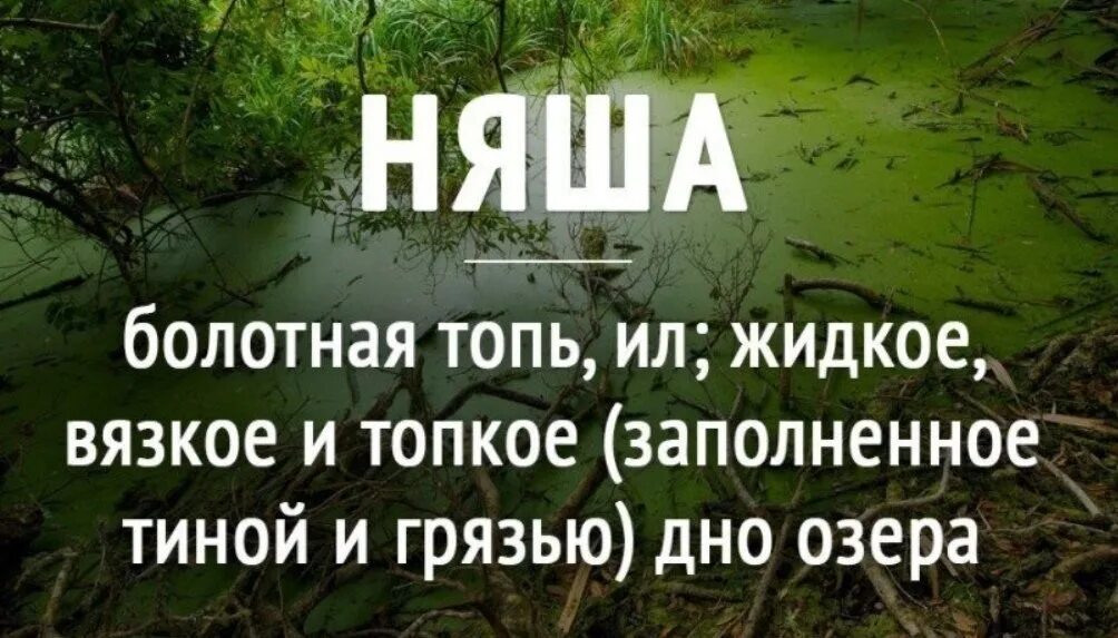 Няша Болотная. Няша Топь. Няша болото. Тиной называют