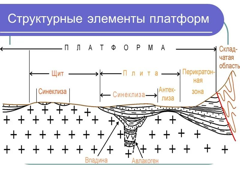 Чем отличается щит от платформы в географии. Структурные элементы. синеклиза. схема строения платформы. авлакоген.