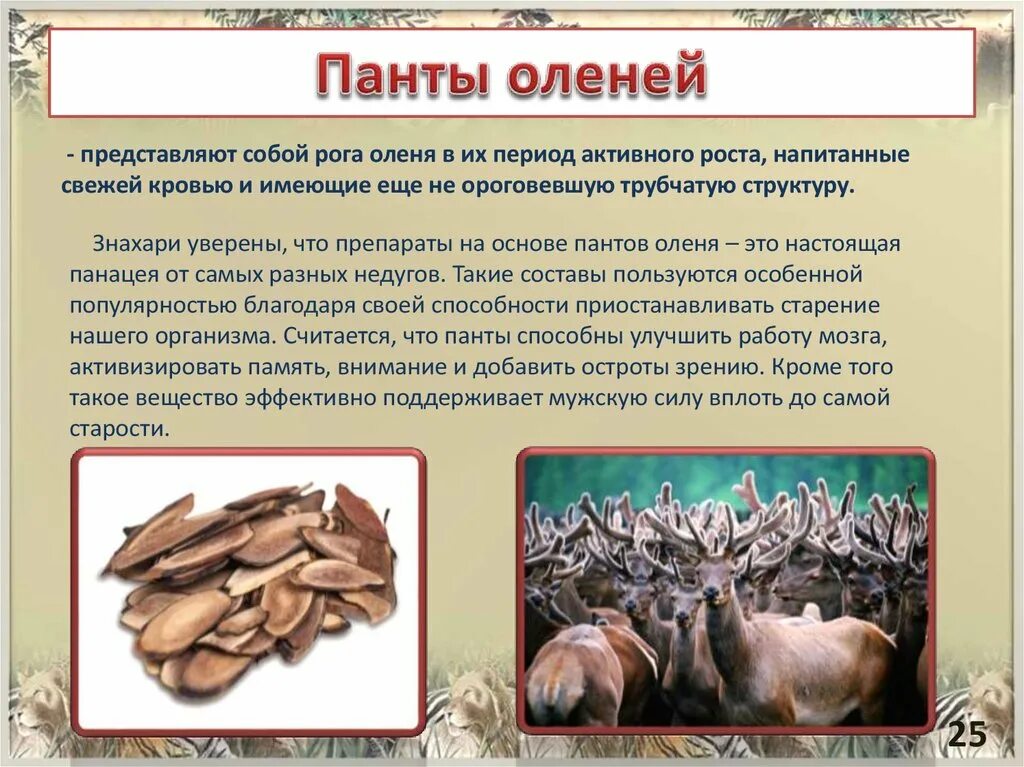 Экстракт пантов марала алтайский. Панты марала для чего. Экстракт рогов марала. Pantowell панты марала с сабельником, мумие. Бальзам с пантами марала безалкогольный.