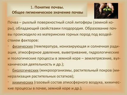Понятие и определение почвы