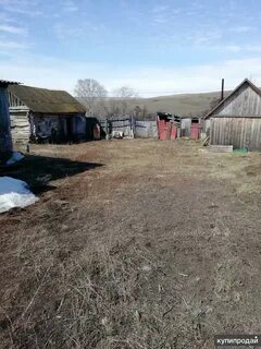 Погода в садовке