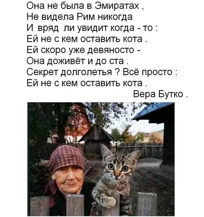 Ей нескем оставить кота. Но не с кем оставить кота стихотворение. Ей не с кем оставить кота стих. Стих мне не с кем оставить кота. Не с кем оставить кота.