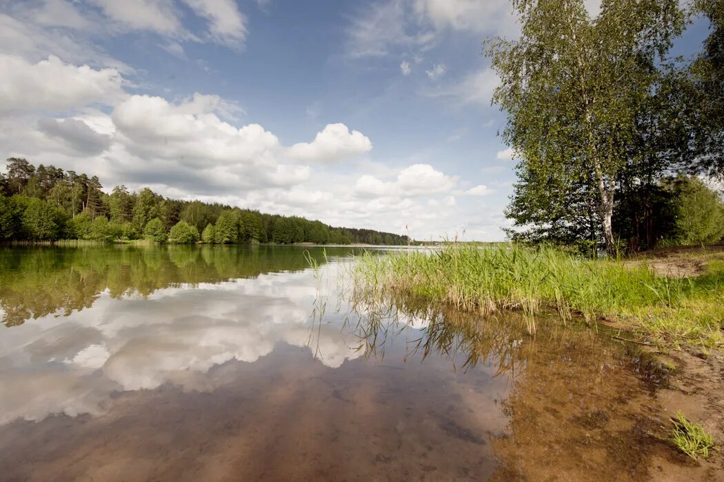 Быково золотово. Снт восход золотово воскресенский район. Быково золотово. Коттеджный поселок золотая подкова. Золотово озеро раменское.