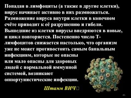 Может ли вирус быть